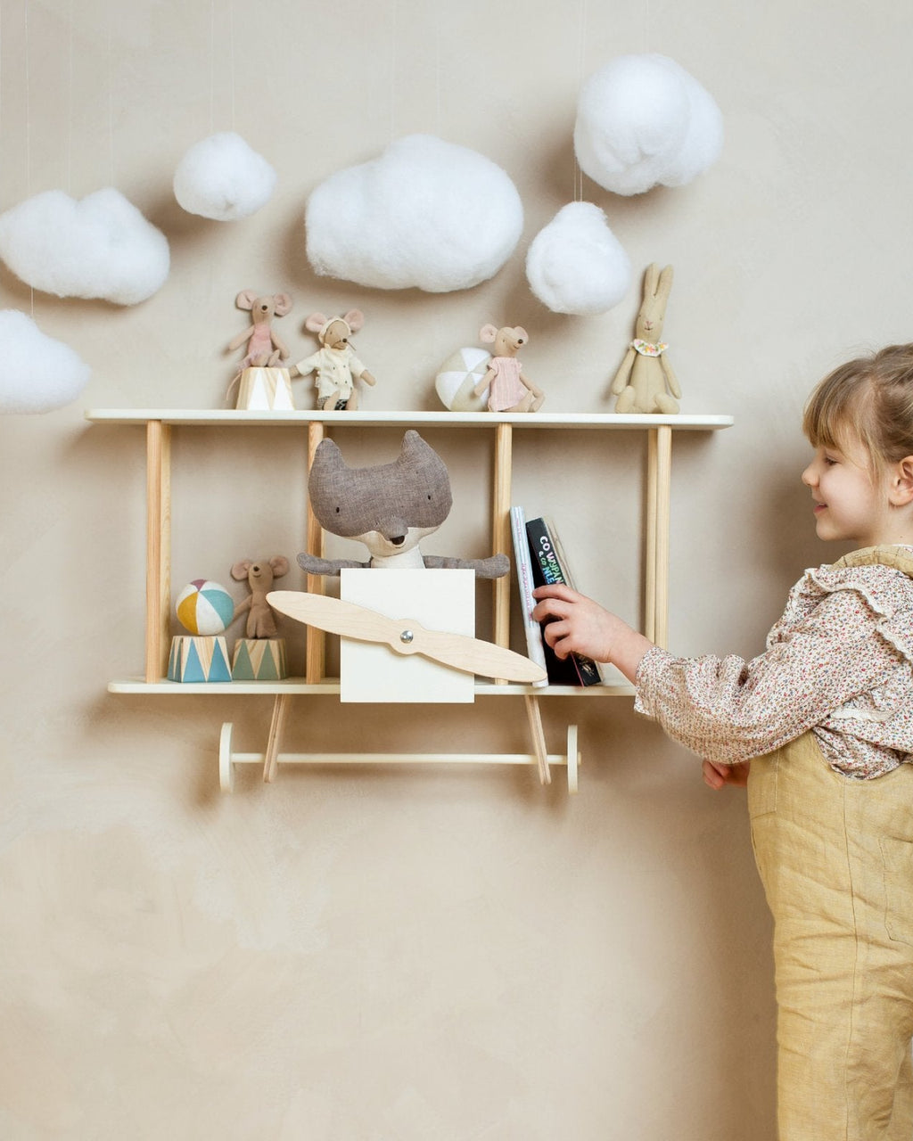 Biplane shelf 'Dashy' image 2