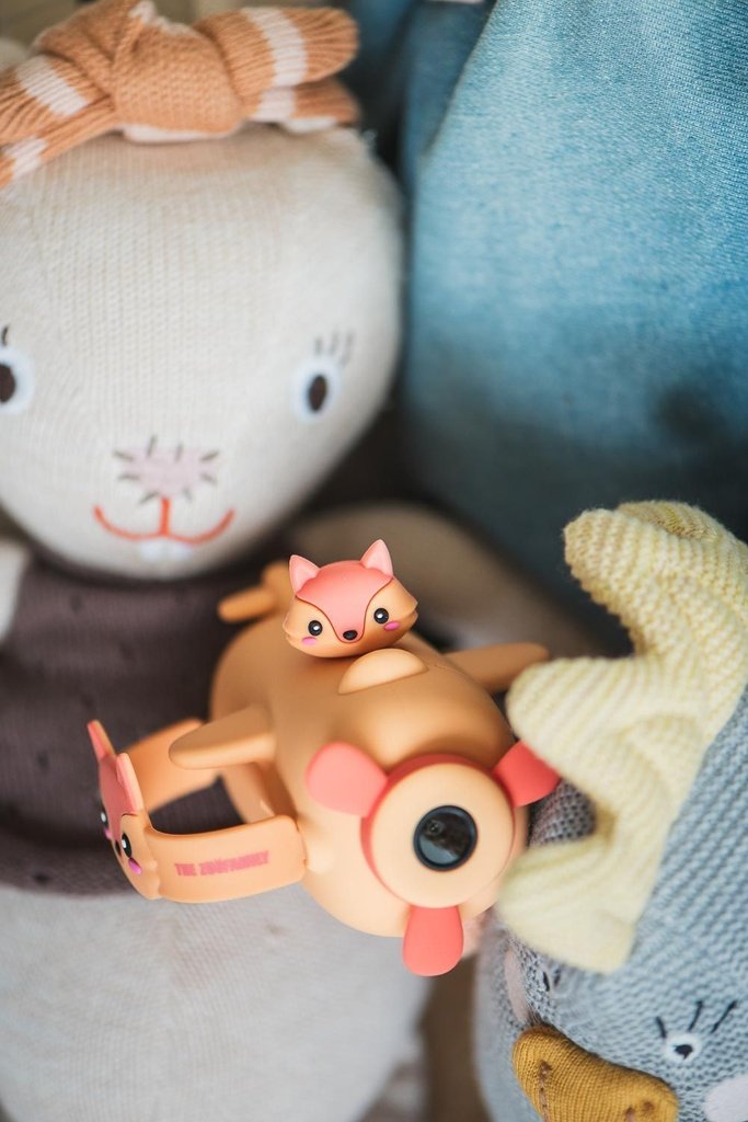 Zoo Video - Fox image 2