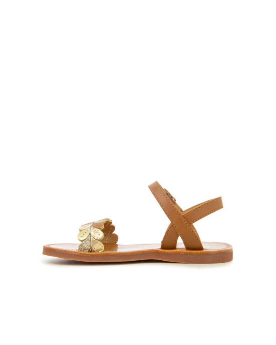 Plagette Ferns image 2