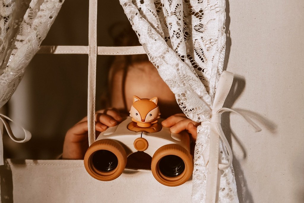 Zoo Eyes Fox image 1