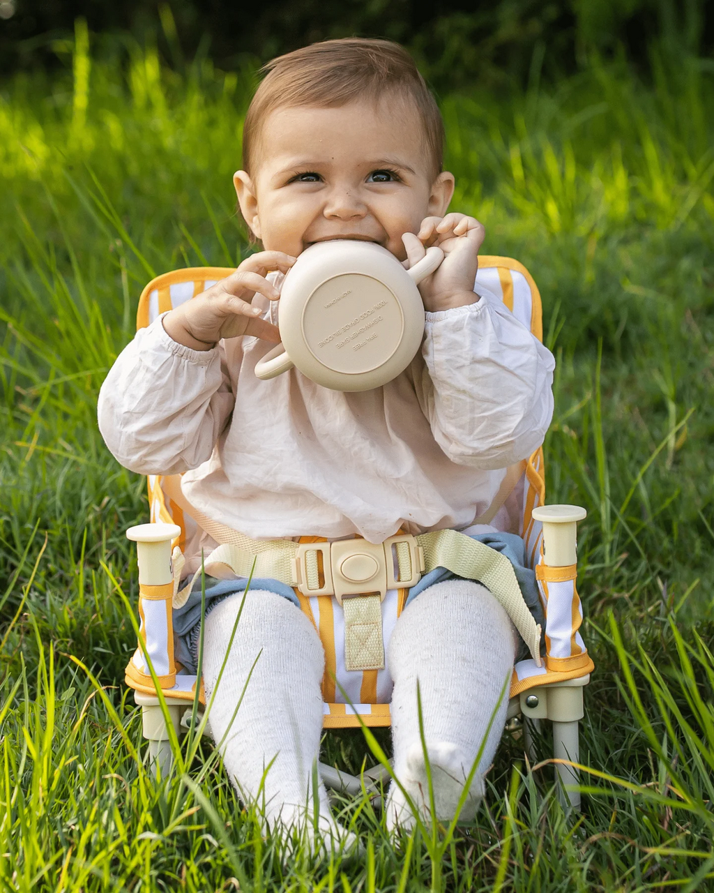 Brighton Baby Chair image 0
