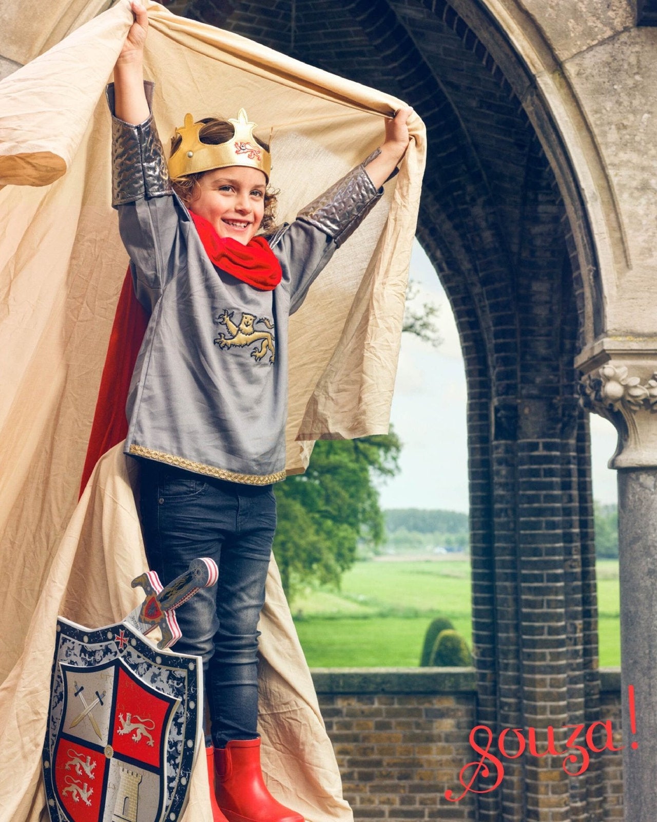 Shield tristan image 2
