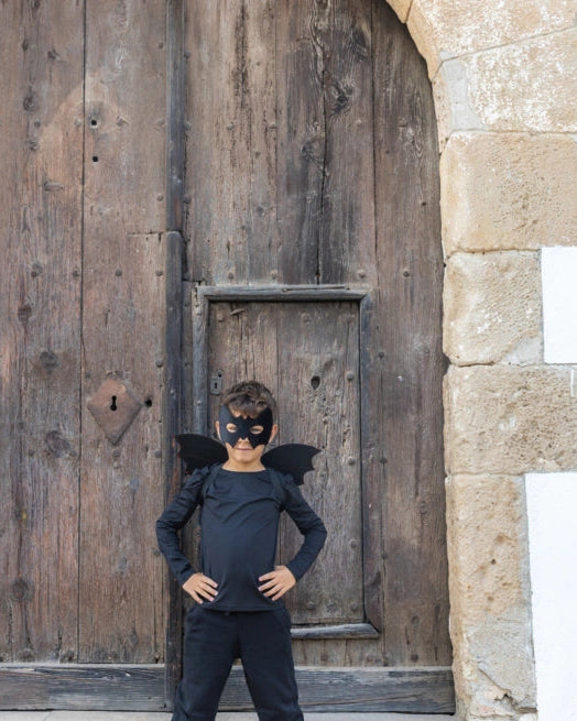 The bat set with wings and mask image 1