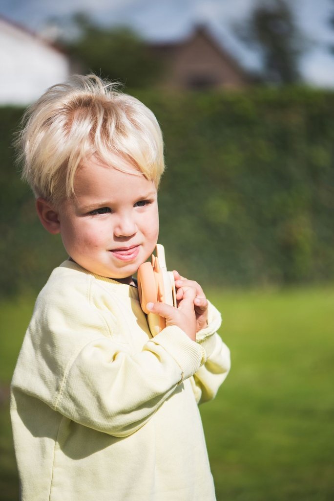 Zoo Walkie talkie - Fox image 2