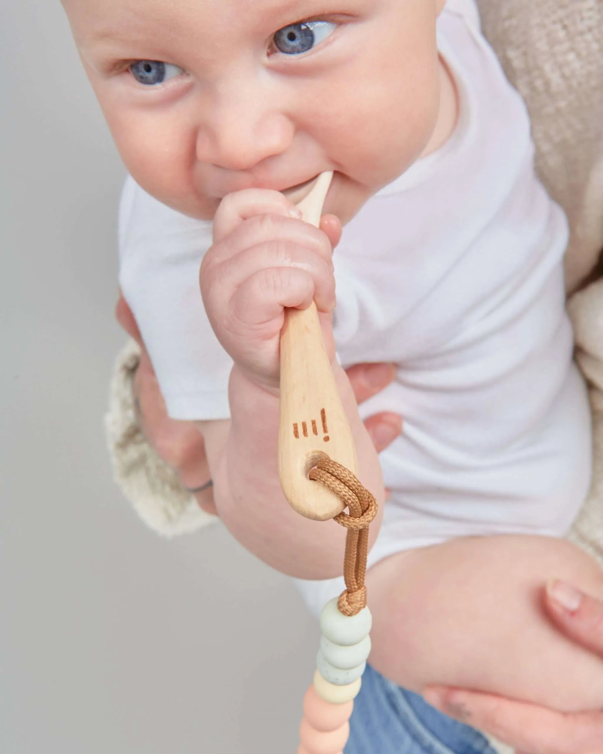 Dandelion Feeding Set + Clip image 3