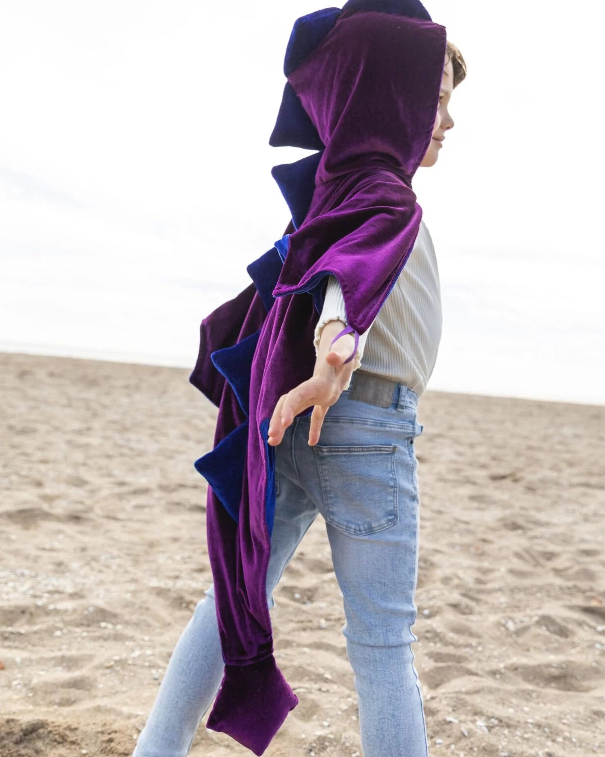 Velvet Dragon Costume Purple &Amp; Blue