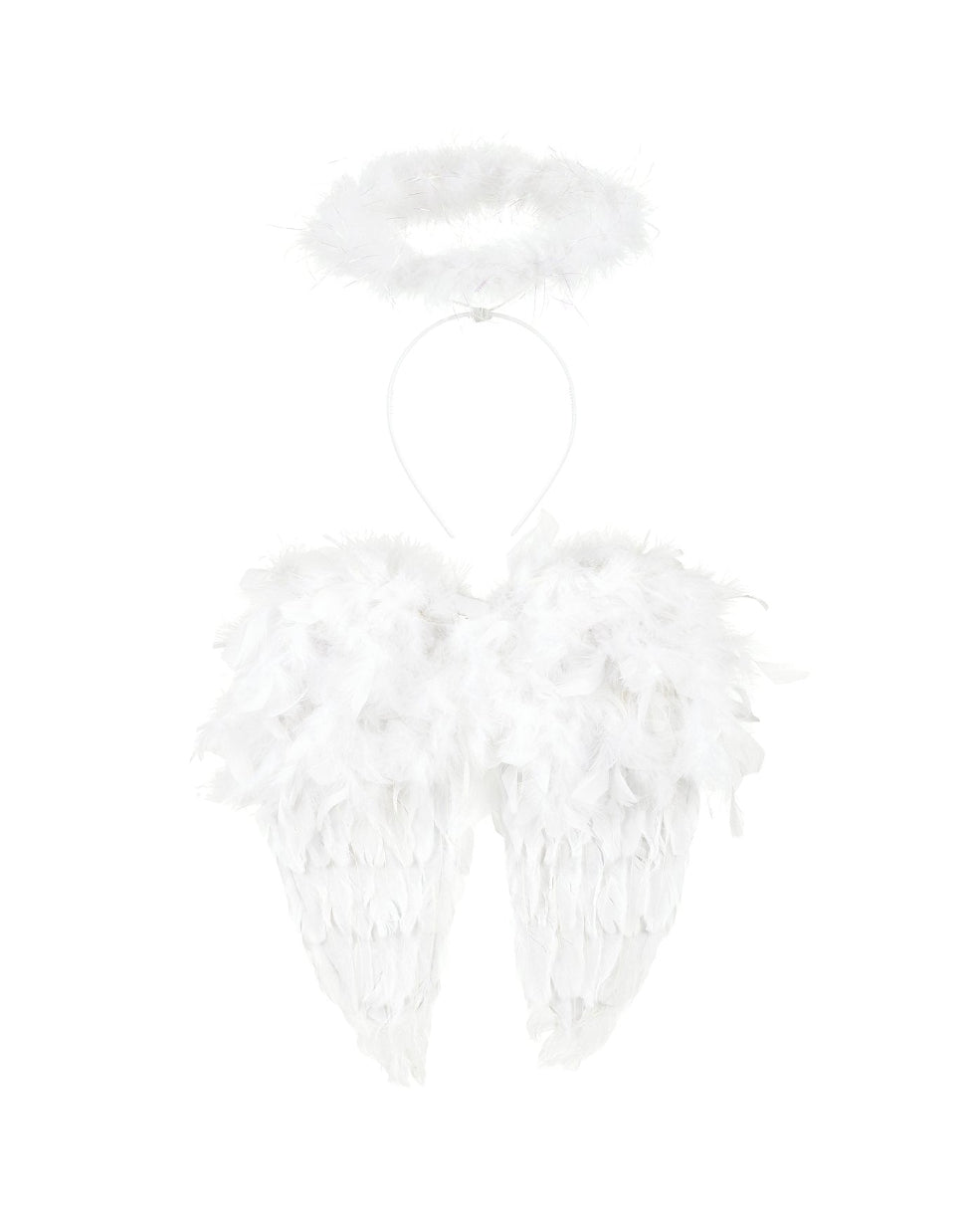 Angel wings image 0