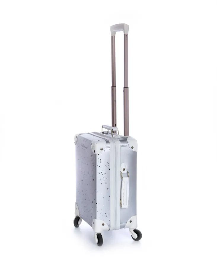 Suitcase Silver image 1