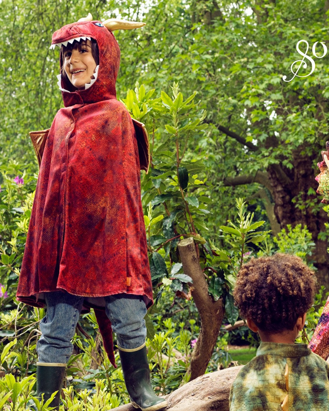 Red dragon cape image 3