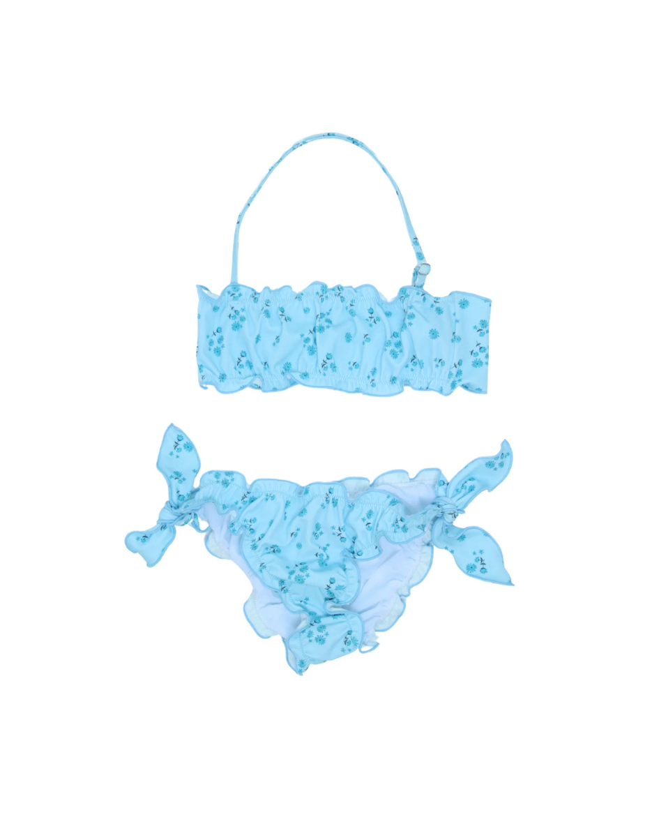 CAROLINA BLUE PETAL