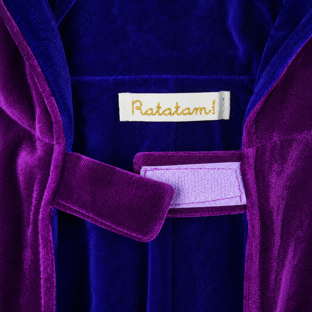 Velvet Dragon Costume Purple &Amp; Blue