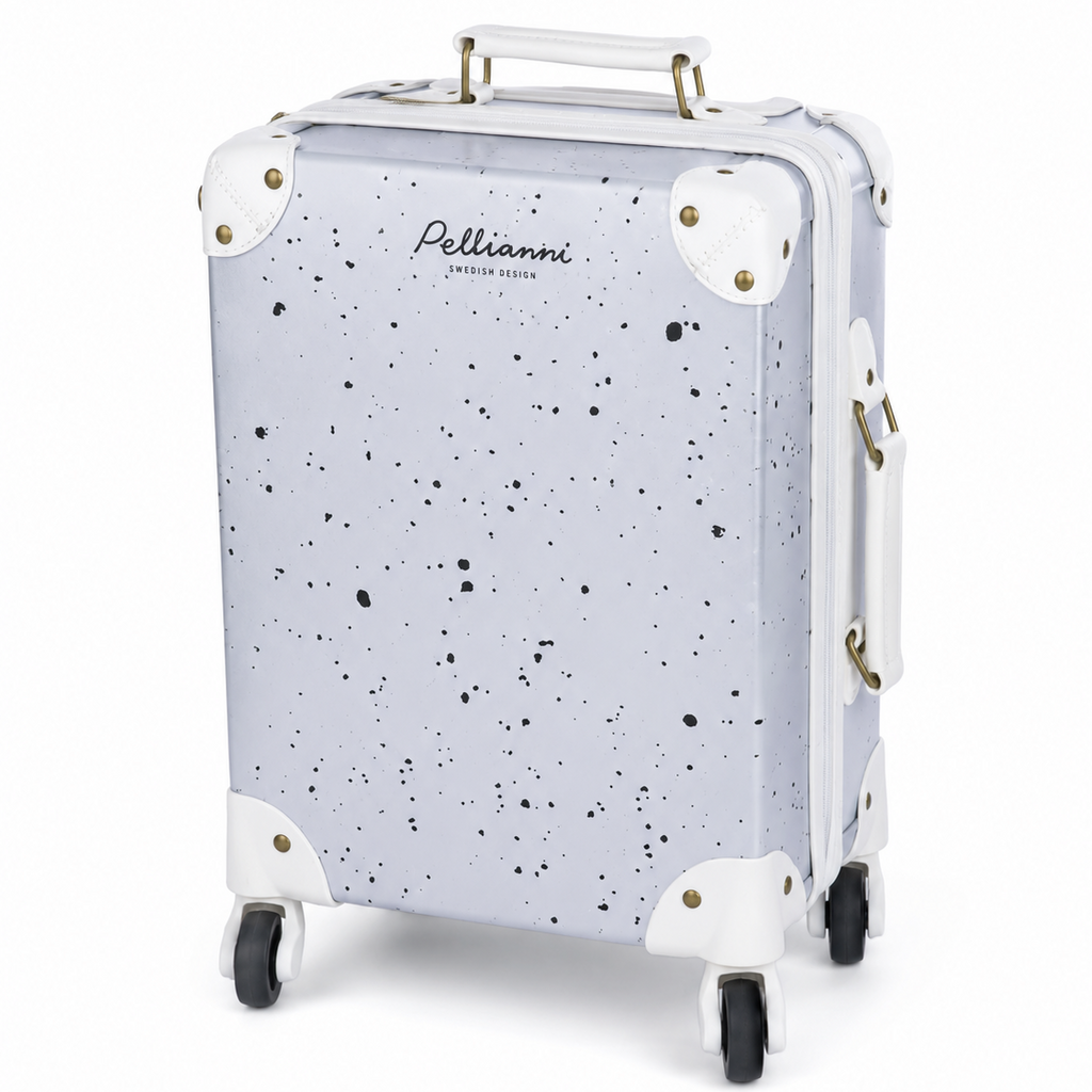 Suitcase Silver