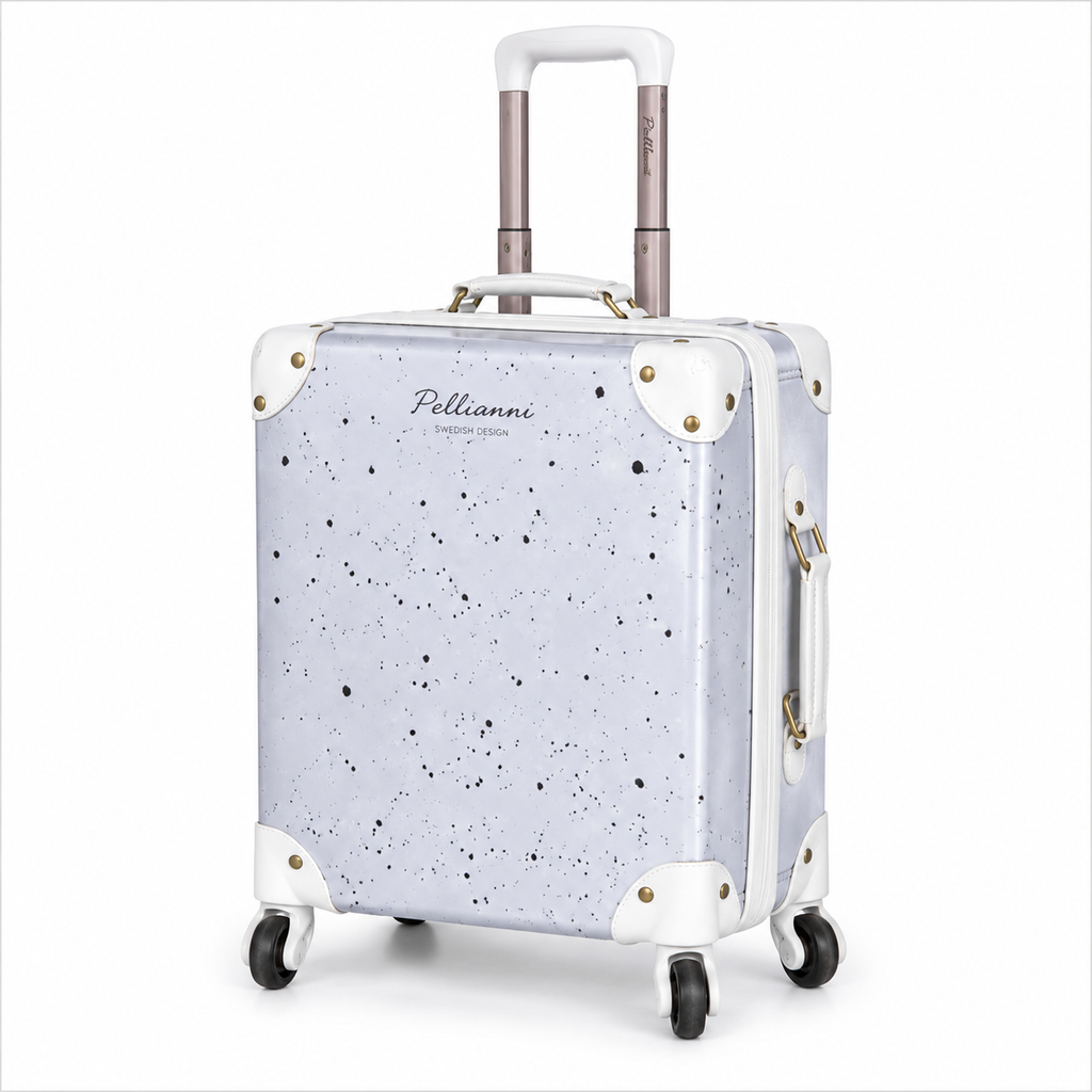 Suitcase Silver
