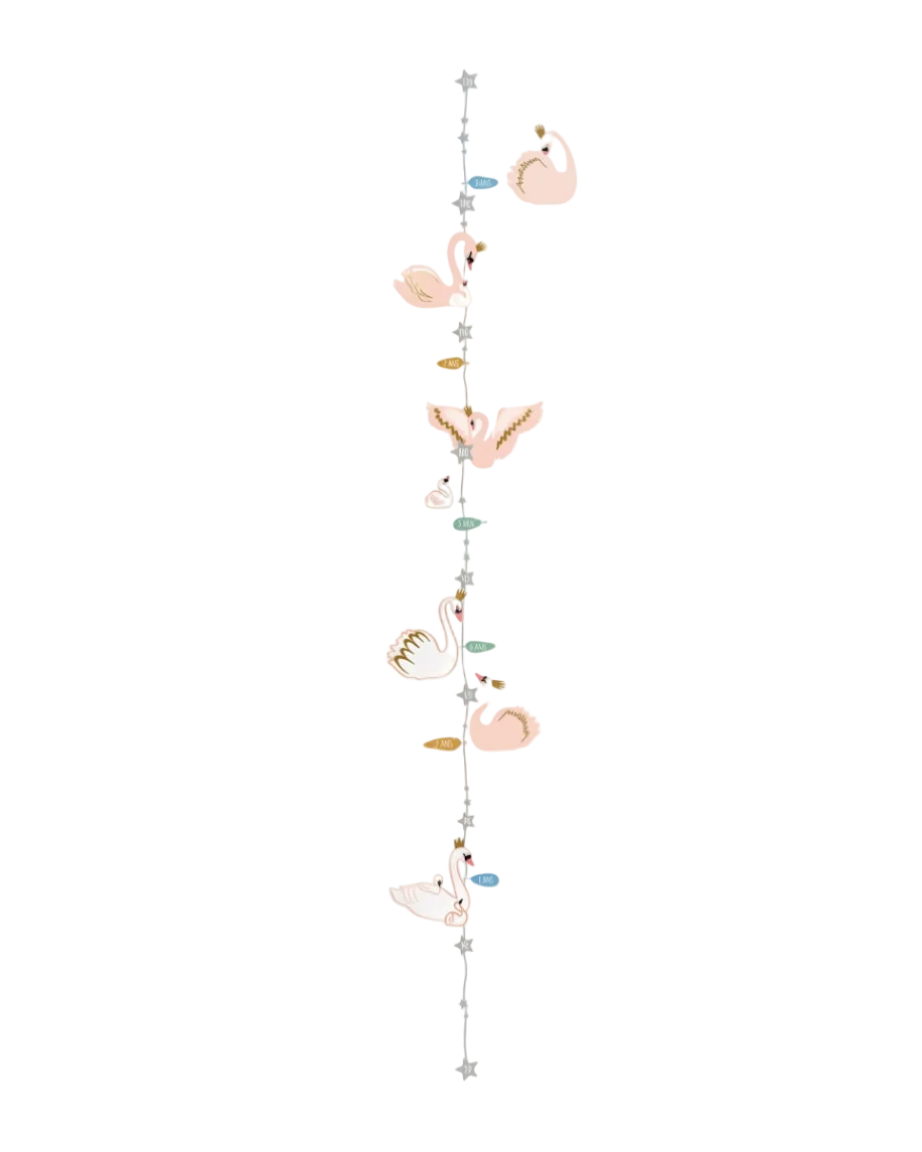 Swans Height Chart - Sticker