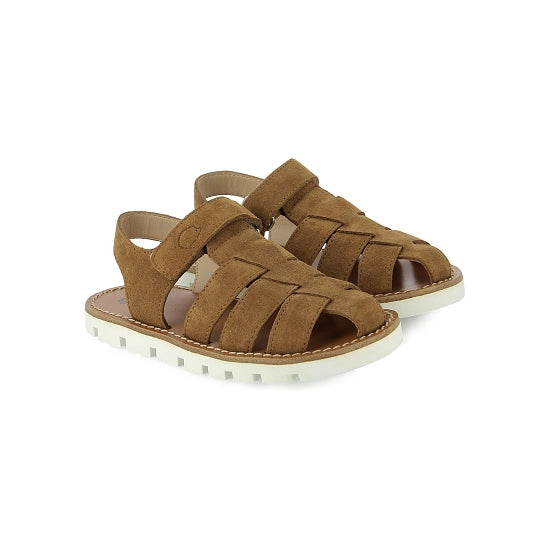 T&C 12 Papy - Brown