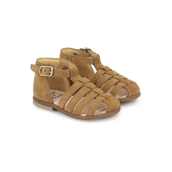 T&C 1 Ares - Brown