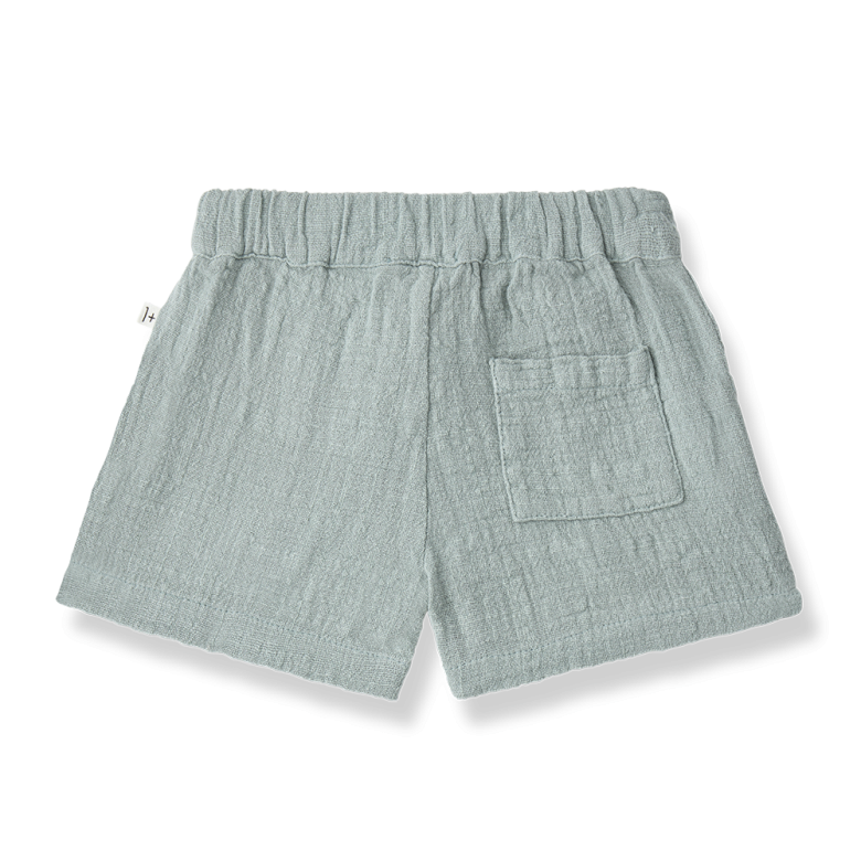 فيرجس برمودا