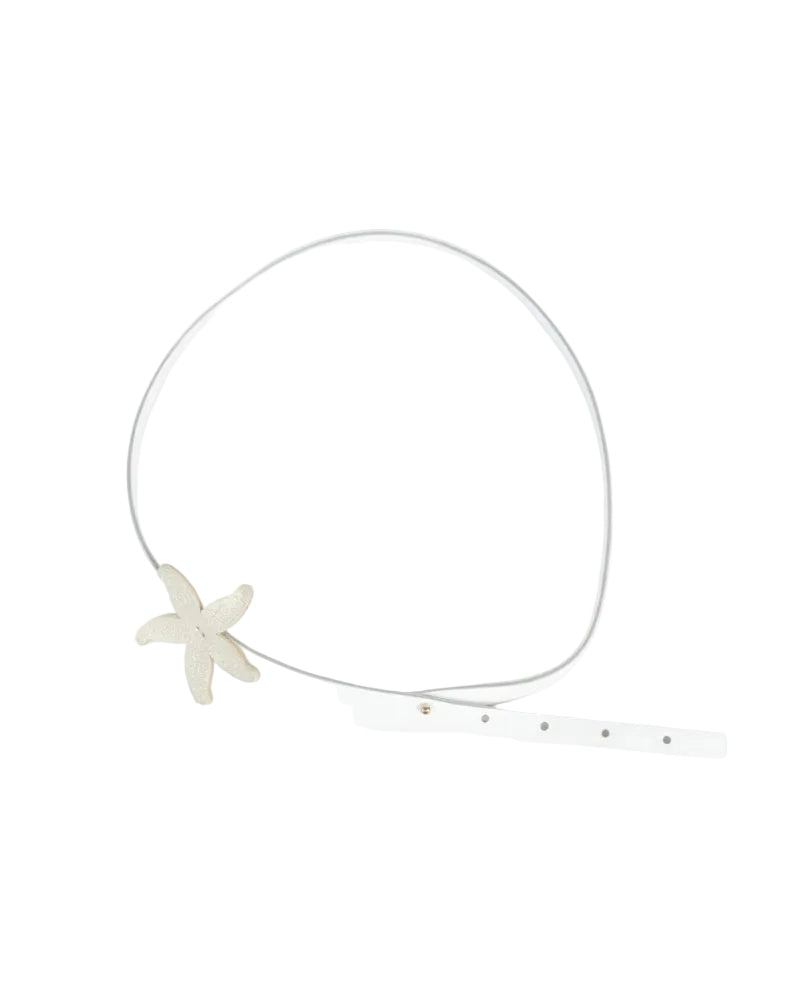 Sea Star Belt image 1