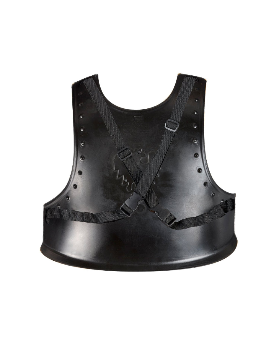 Chest cover roland image 1