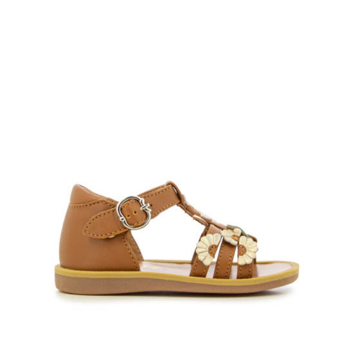 Poppy Multi Daisy-Camel-2