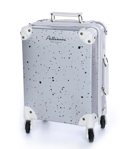 Suitcase Silver