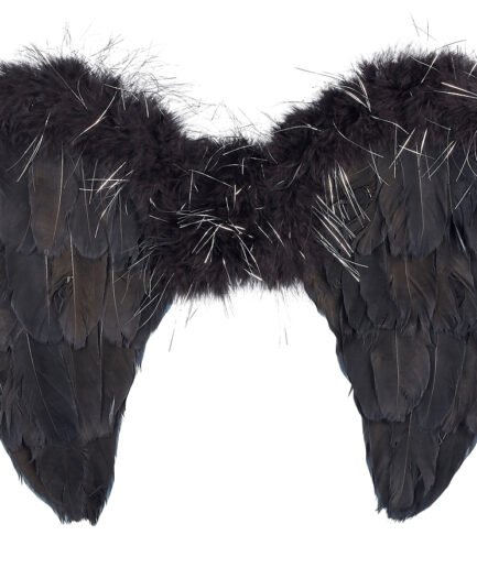Nyx wings